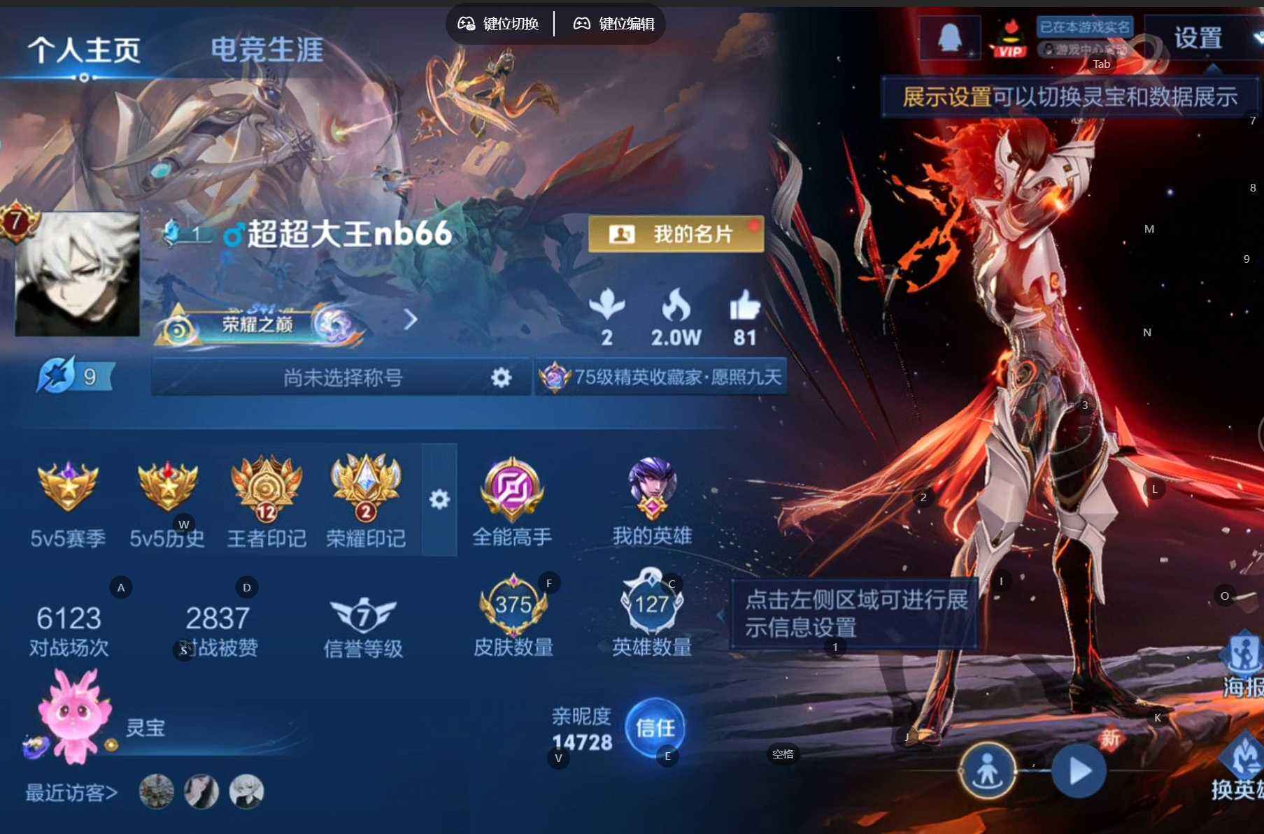 WZQM490409王者荣耀账号详情图3