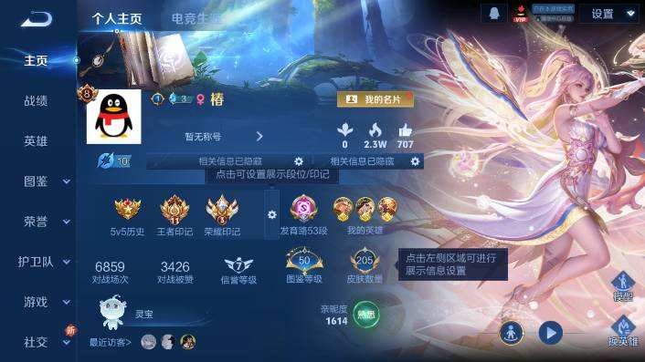 WZQM471777王者荣耀账号详情图25