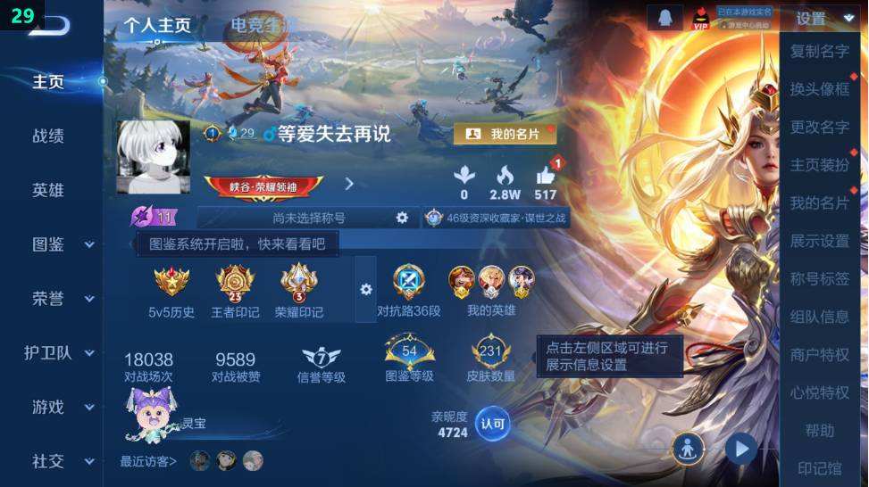 WZQM471332王者荣耀账号详情图14