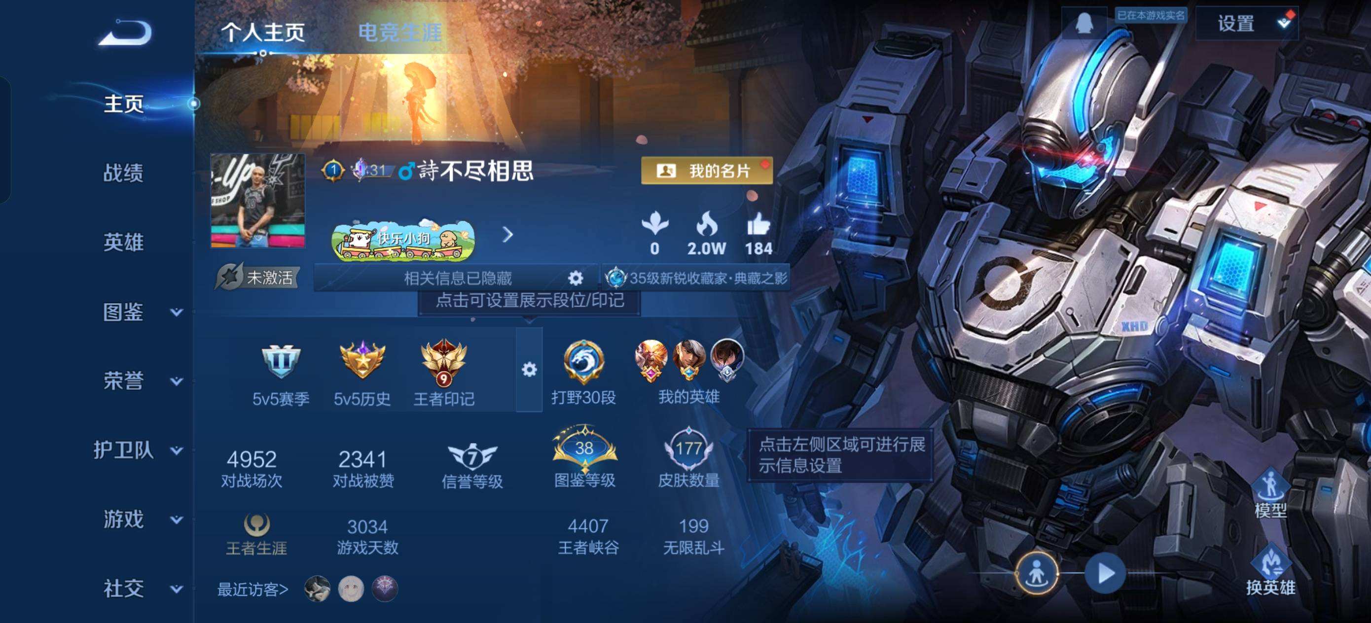 WZQM497710王者荣耀账号详情图10