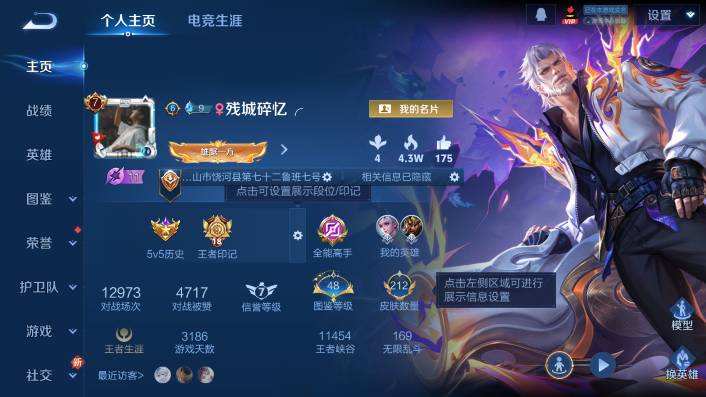 WZQM479788王者荣耀账号详情图3