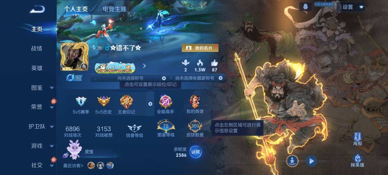 WZQM4111909王者荣耀账号详情图3