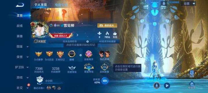 WZQM4217161王者荣耀账号详情图5