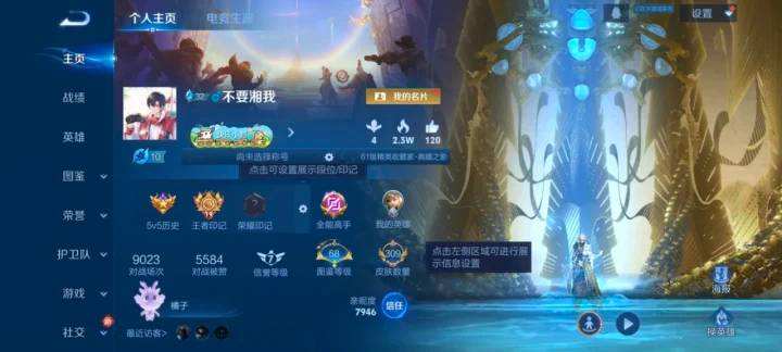 WZQM4231299王者荣耀账号详情图10