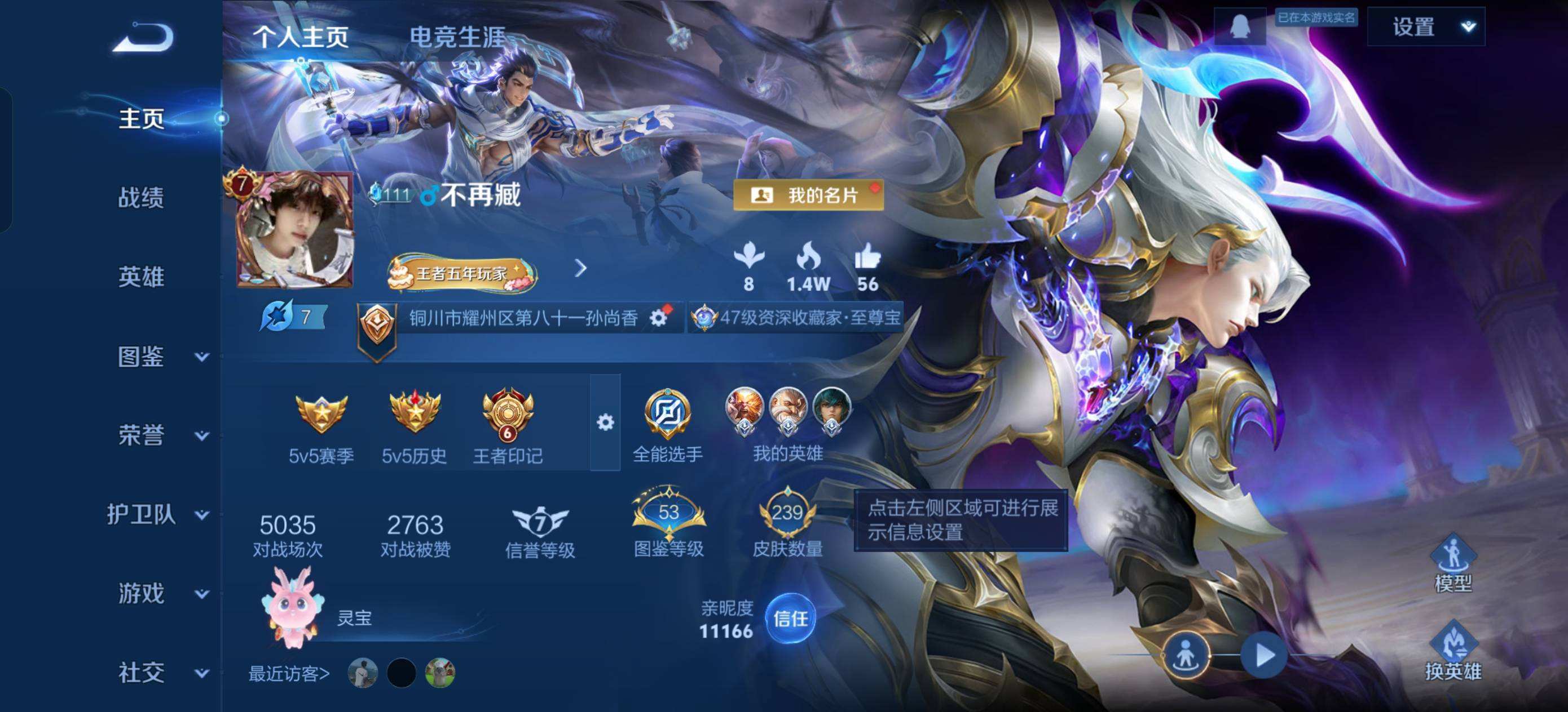 WZQM4256359王者荣耀账号详情图9