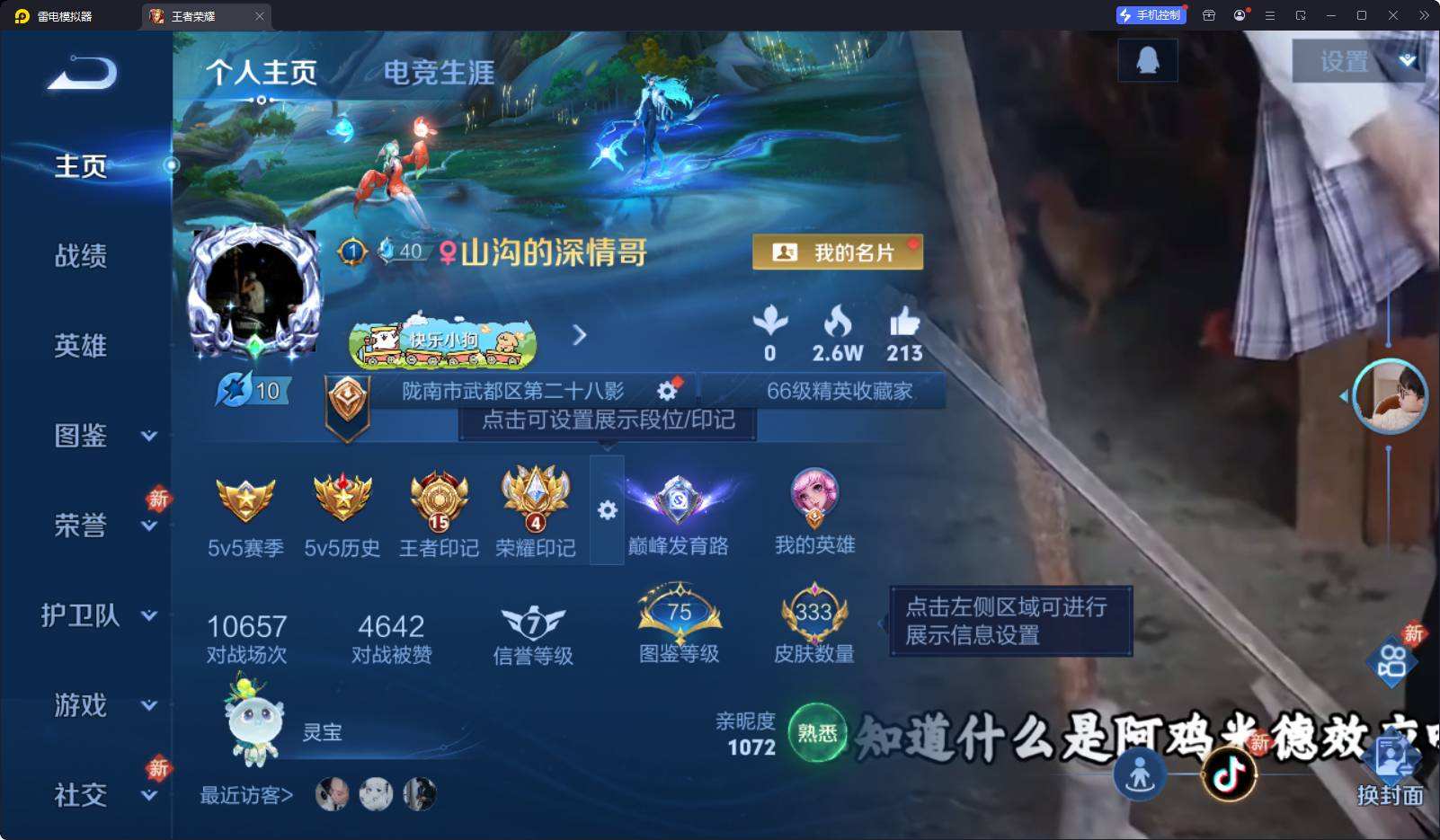 WZQM4304646王者荣耀账号详情图11