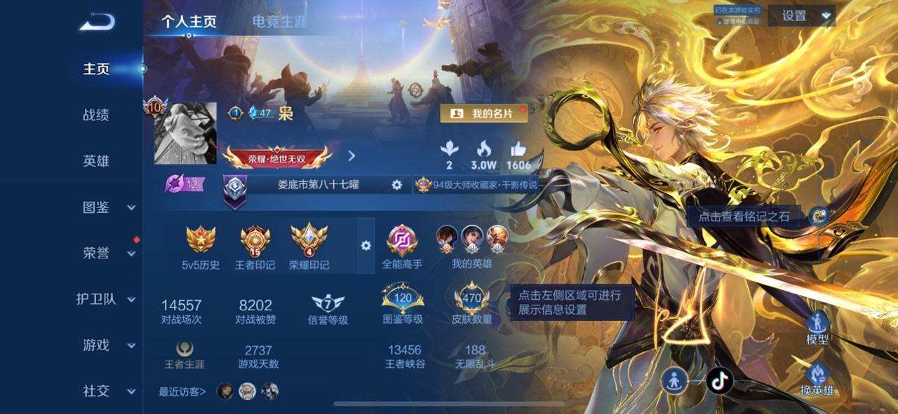 WZQM4375815王者荣耀账号详情图11